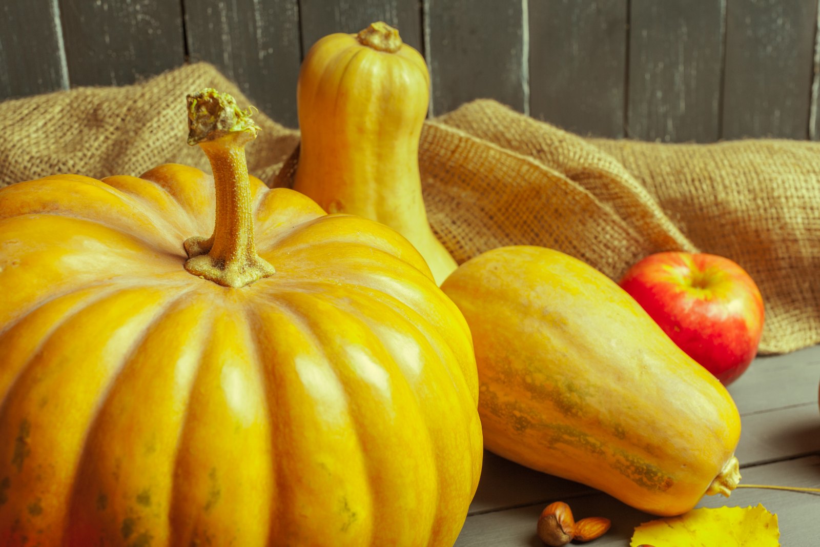 Potiron, courges et pomme de saison : planifier ses repas autour des produits du moment