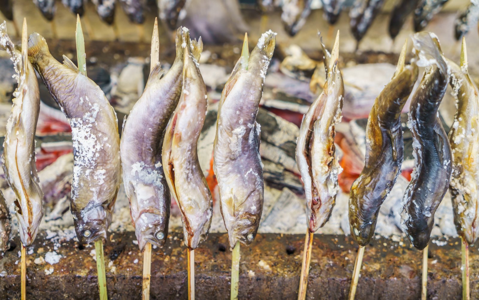 Poissons entiers grillés au sel, comme les sardines grillées du déjeuner
