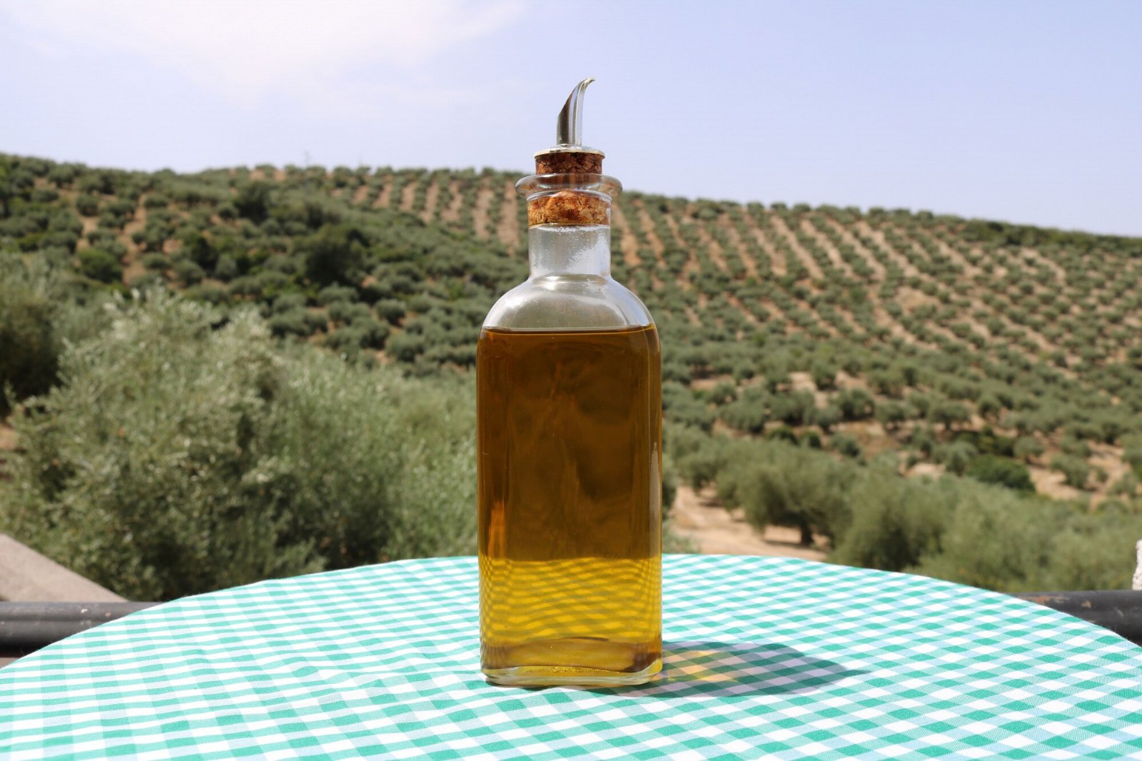 Huile d’olive devant une oliveraie : le point commun des deux approches